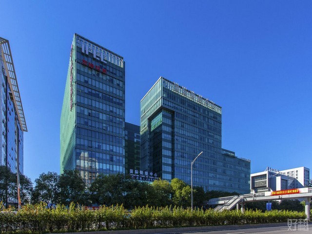 昆明珠芽魔芋种子厂家